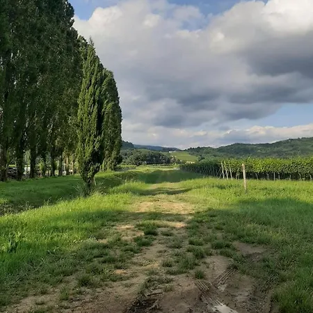 Casa *